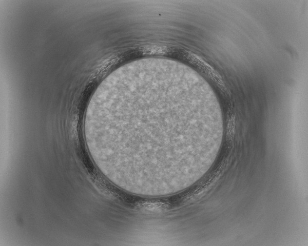 X0000115310209200912141144