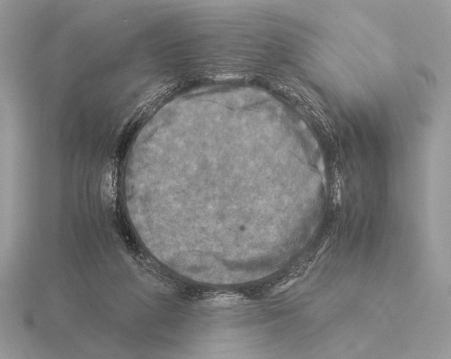 X0000115310210200912141144