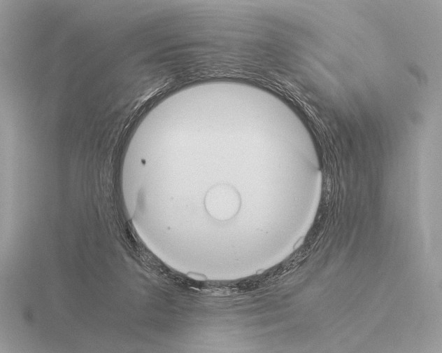 X0000115310211200912141144