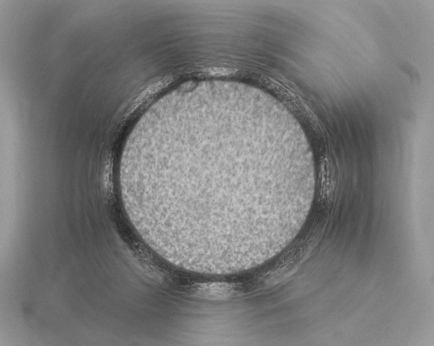 X0000115310212200912141144