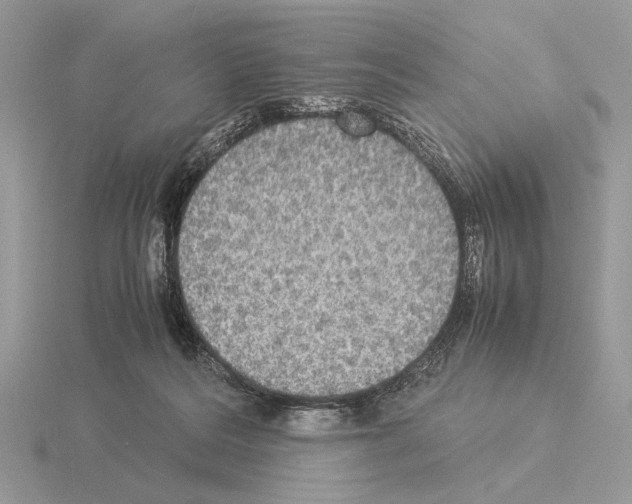 X0000115310220200912141144