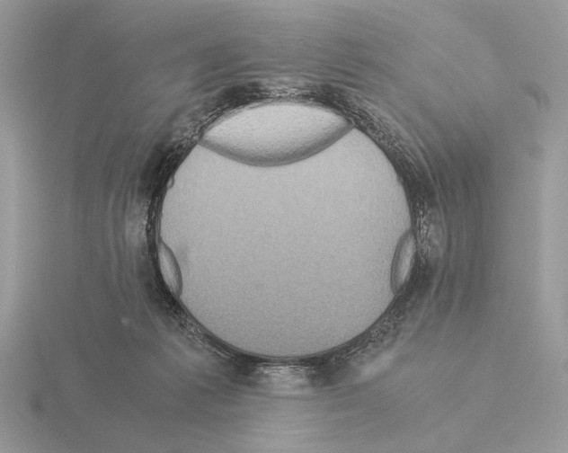 X0000115310221200912141144