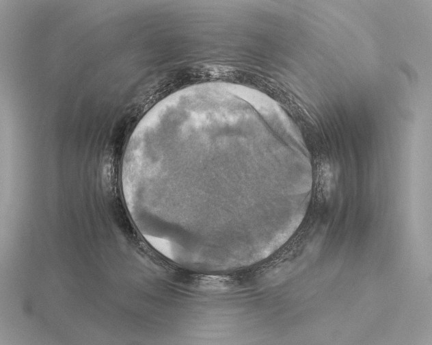 X0000115310222200912141144