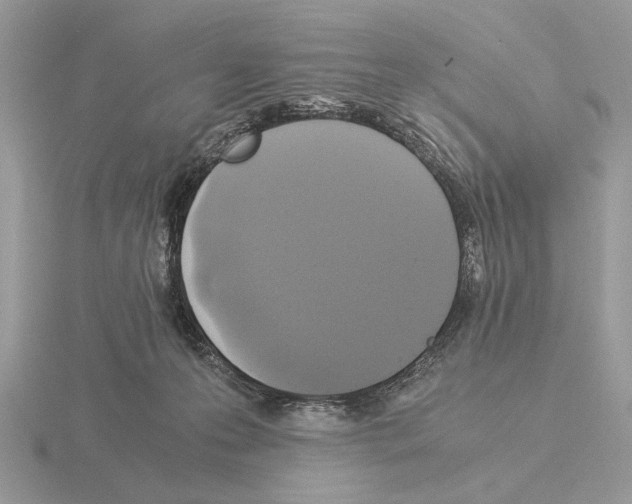 X0000115310223200912141144