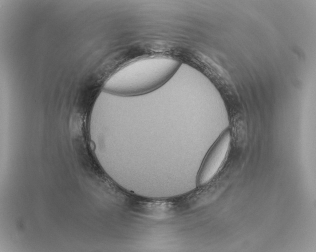 X0000115310225200912141144