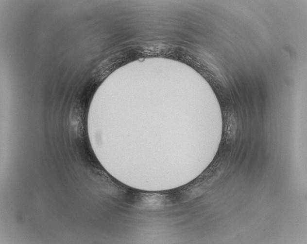 X0000115310226200912141144