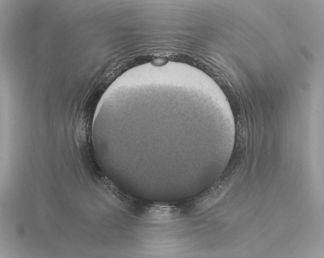 X0000115310227200912141144