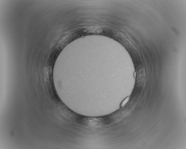 X0000115310229200912141144