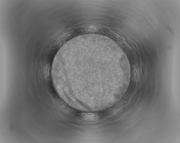 X0000115310230200912141144