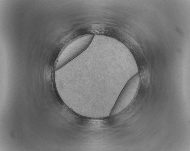 X0000115310233200912141144