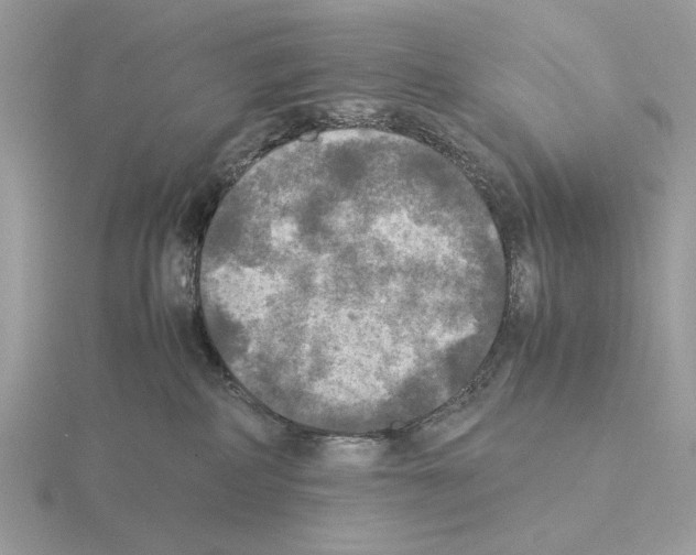 X0000115310234200912141144