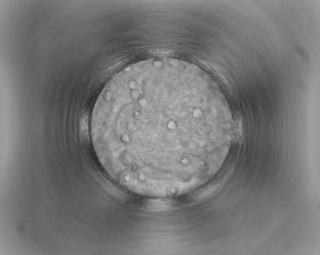 X0000115310238200912141144