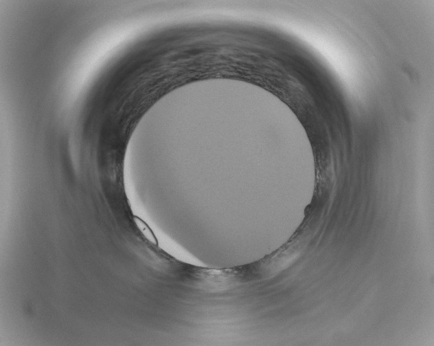 X0000115310239200912141144