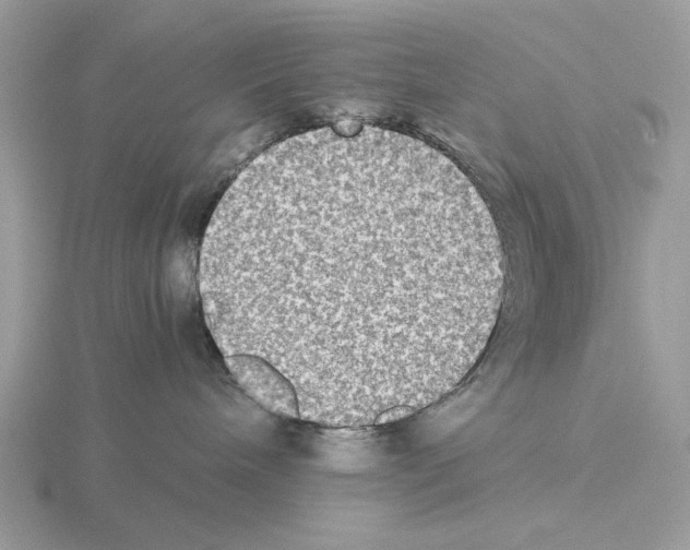 X0000115310240200912141144