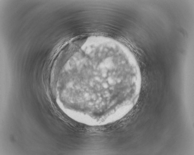 X0000115310241200912141143