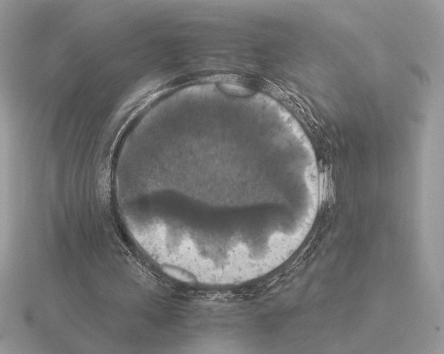 X0000115310243200912141143