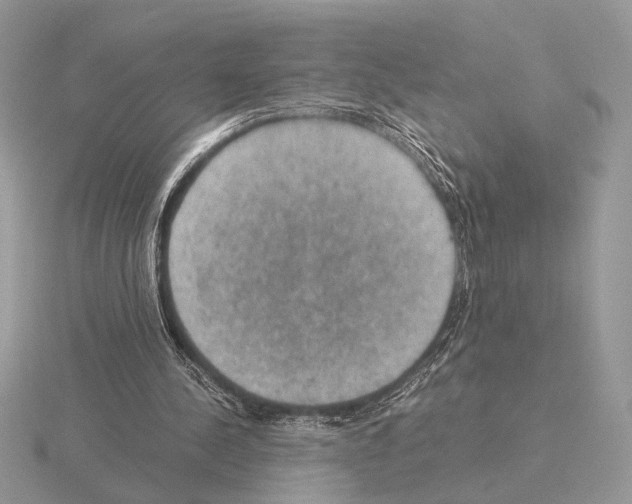 X0000115310244200912141143