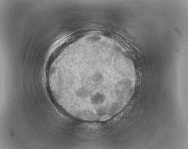 X0000115310245200912141143