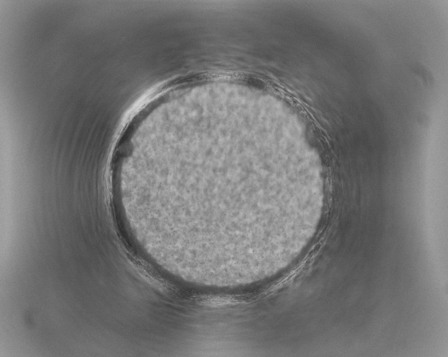 X0000115310246200912141143