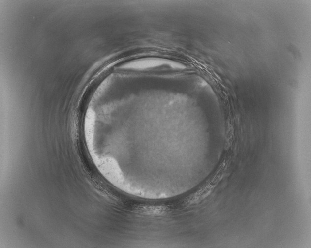 X0000115310247200912141143