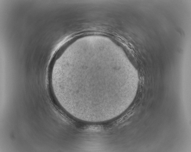 X0000115310248200912141143