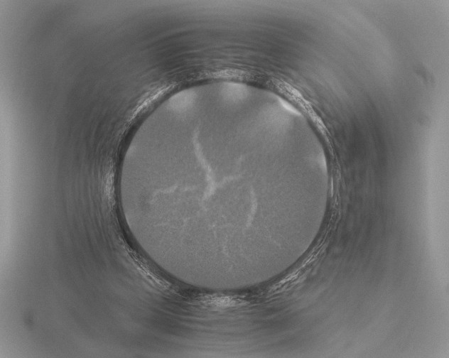 X0000115310249200912141143