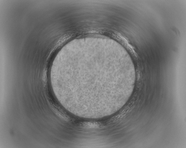 X0000115310250200912141143