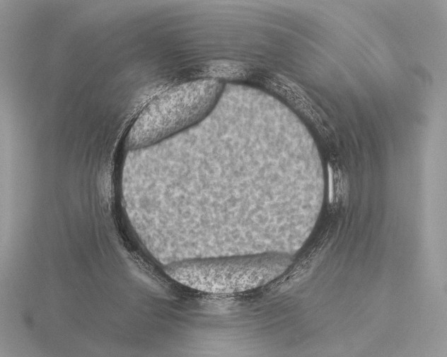 X0000115310252200912141143