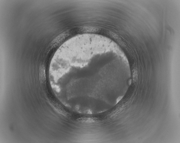 X0000115310254200912141143