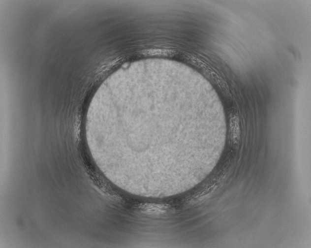 X0000115310255200912141143