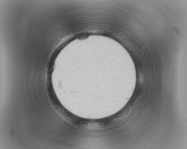 X0000115310256200912141143