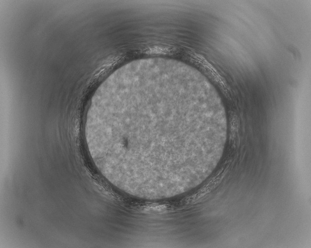 X0000115310257200912141143