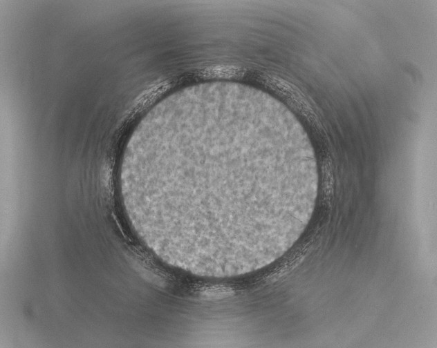 X0000115310258200912141143