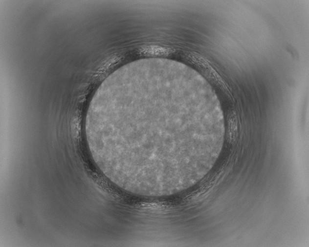 X0000115310259200912141143