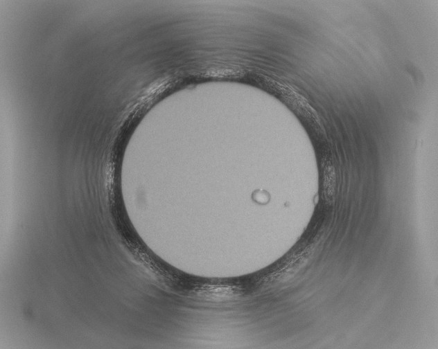 X0000115310260200912141143