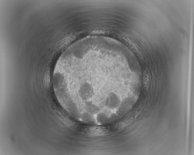 X0000115310261200912141143