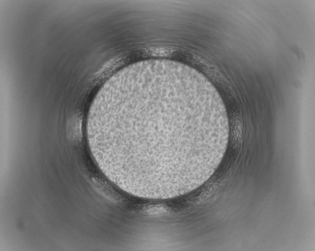 X0000115310262200912141143