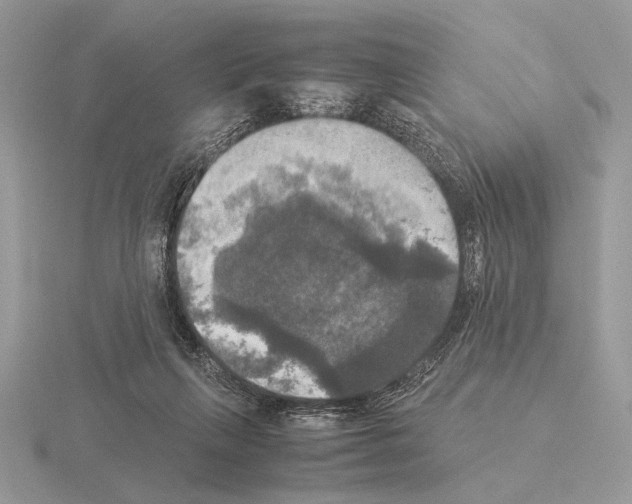 X0000115310263200912141143