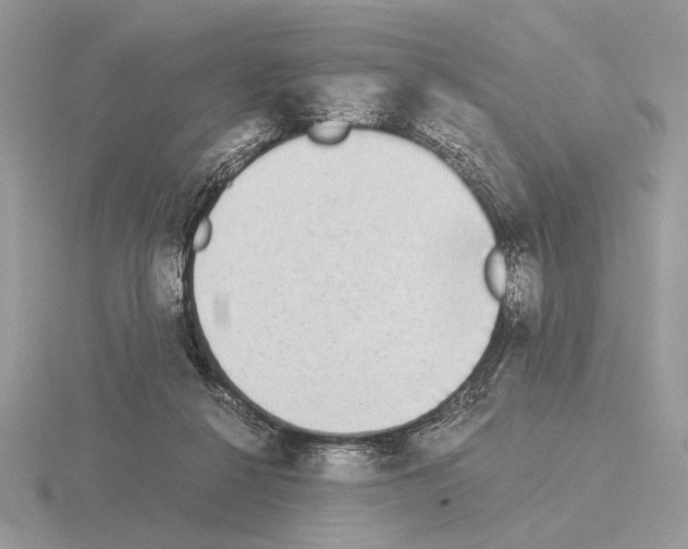 X0000115310264200912141143