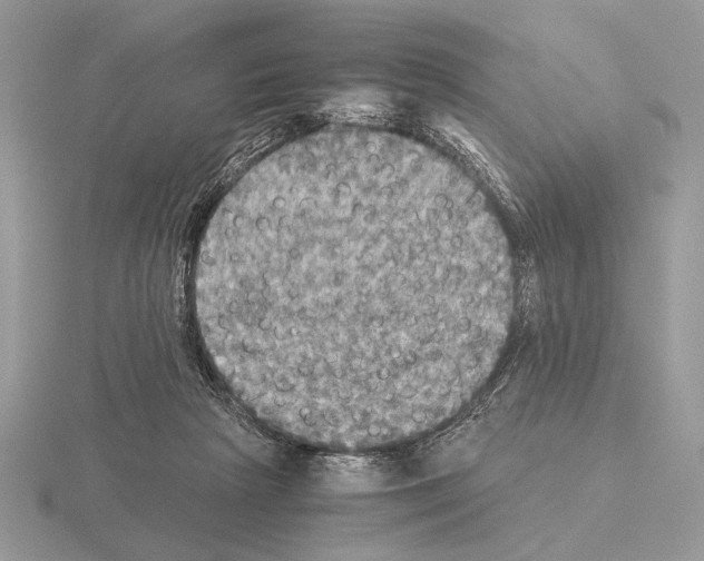 X0000115310265200912141143