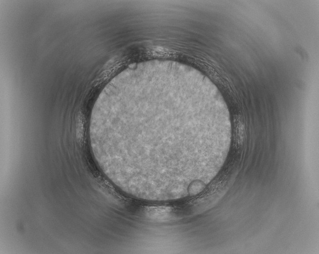 X0000115310266200912141143