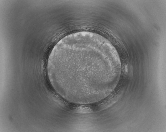 X0000115310270200912141143