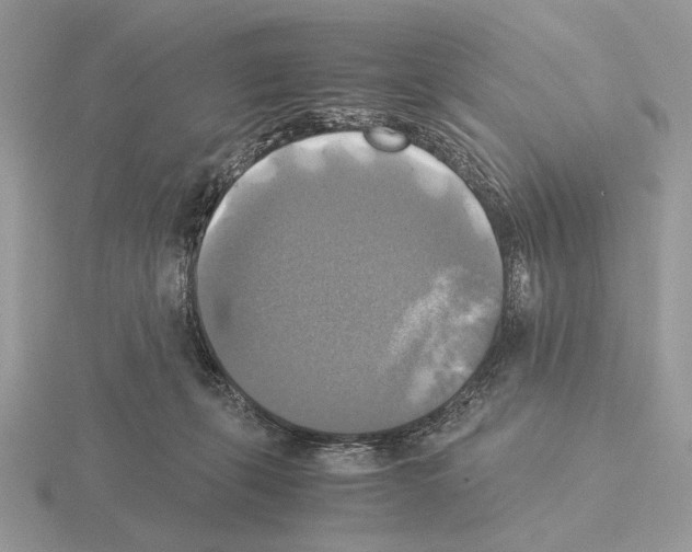 X0000115310271200912141143