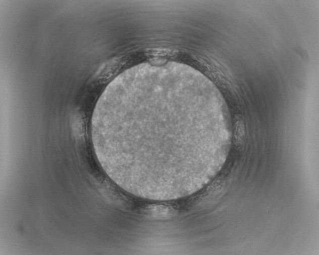 X0000115310272200912141143