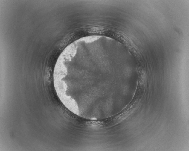 X0000115310273200912141143