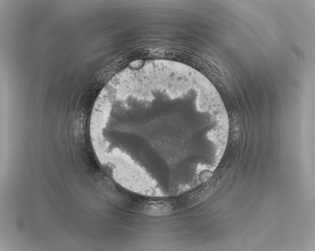 X0000115310275200912141143