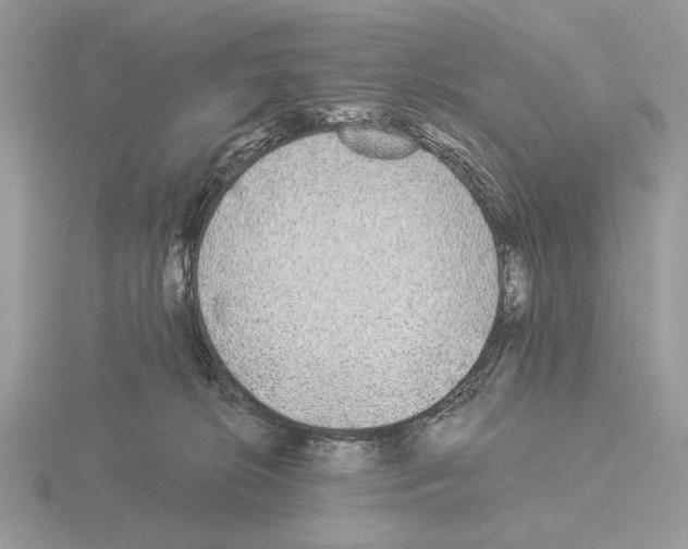 X0000115310276200912141143