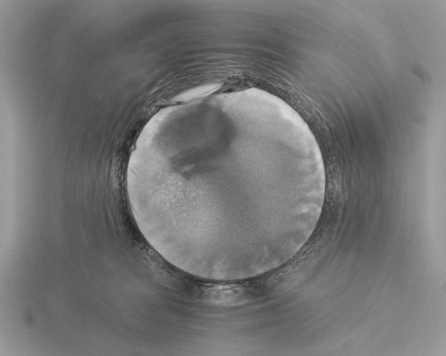 X0000115310277200912141143