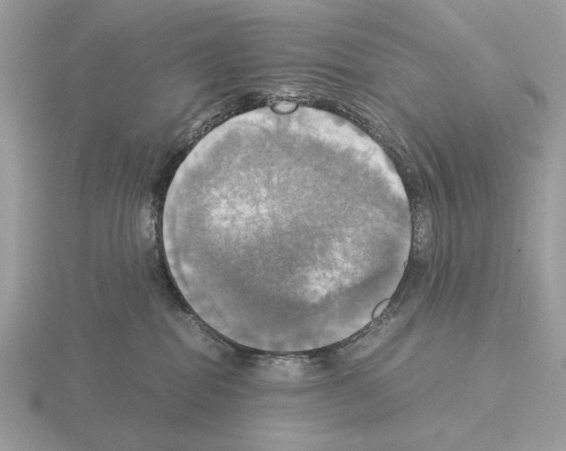 X0000115310282200912141143