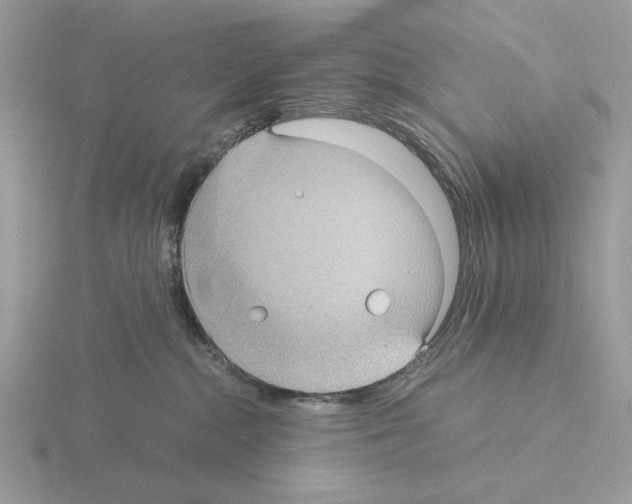 X0000115310284200912141143